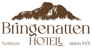 Bringenatten Hotell Nesbyen